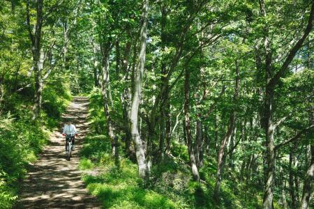 【星のや富士】富士山麓の大自然と鍼灸指圧マッサージ 【星のや富士】富士山麓の大自然と鍼灸指圧マッサージ