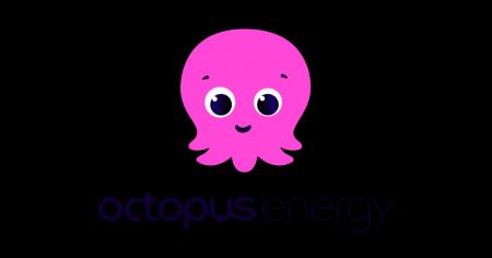 日本の電力市場でトップ成長率を記録したオクトパスエ