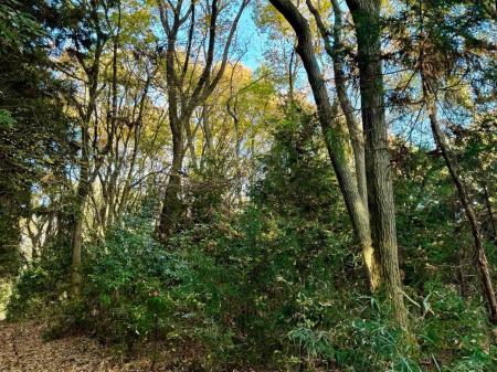 あなたのスタイルで森を楽しむ、森林レンタルサービス あなたのスタイルで森を楽しむ、森林レンタルサービス