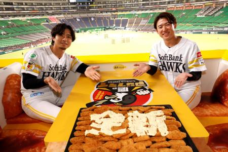 【福岡ソフトバンクホークス】新観戦シート「三陽 ア