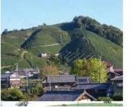 和束町「地域おこし協力隊募集・選考支援業務」受託に 和束町「地域おこし協力隊募集・選考支援業務」受託に