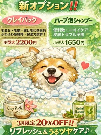 【PetsTokyo 西大井店】選べる新ケア20%OFFキャンペー