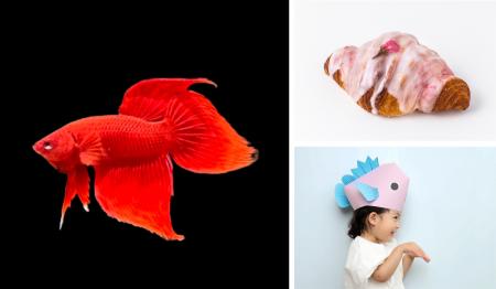 ヒレー!ヒレー!ヒレがあればなんでもできる 北海道 ヒレー!ヒレー!ヒレがあればなんでもできる 北海道