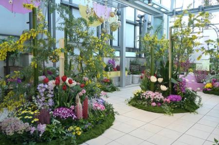 野沢園が、ファンケル銀座スクエア「春のフラワーガー