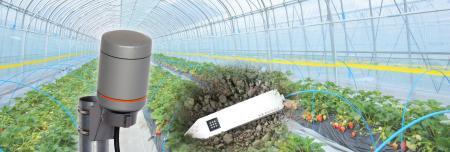 ”勘と経験”からの脱却！水やりと肥料の最適なタイミン