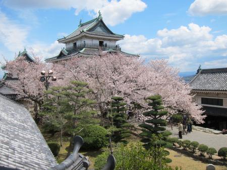歴史・自然・絶景を楽しむ、和歌山市の春　桜名utf-8