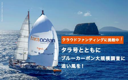 8年ぶり来日・科学探査船タラ号を機に日本沿岸ブルー
