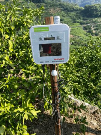 愛媛県のかんきつ栽培で収量1.3倍を達成～e-kakautf-8