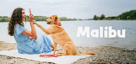 ドイツペットブランド「ハンター」から多機能5in1ハン