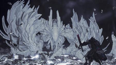 『モンスターハンターワイルズ』より、★10の強力な個