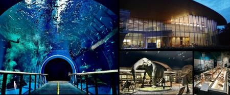 琵琶湖博物館30周年記念事業 ナイトミュージアムを今