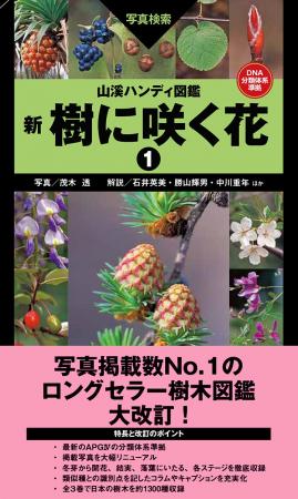 圧倒的写真掲載数を誇るロングセラー樹木図鑑『山溪ハ