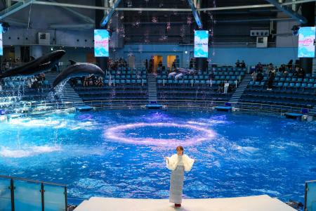 【マクセル アクアパーク品川】コラボ開催を記念し、