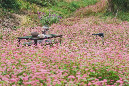 無農薬栽培の花の専門店〈花と大地と人と〉が3月5日オ