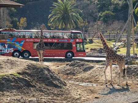 「泉都めぐり スカイバス白浜」× アドベンチャーワー