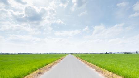 【加須市】加須市の景色と季節の音に癒やされるASMR風