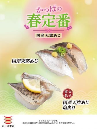 【かっぱ寿司】『国産 天然あじ』一貫税込１1０円～！