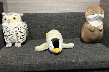 【ホテルグレイスリー那覇】開業10周年記念企画 第2弾