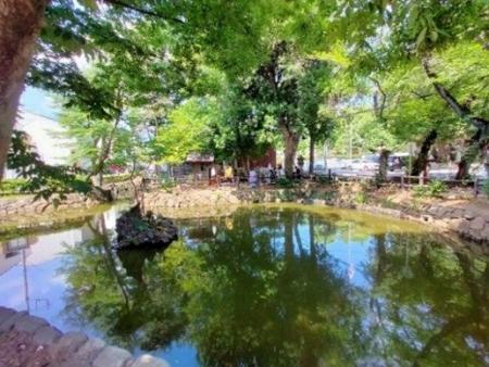 【横浜市】水の循環がよみがえる池へ！地域の力で歴史