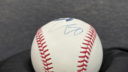 国内外の野球ファンが熱狂を共有できるベースボール空