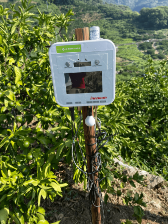 愛媛県のかんきつ栽培で収量1.3倍を達成～e-kakautf-8