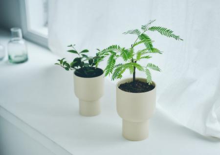 コップのような水受けで水が捨てやすい「プラントポッ