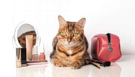 人気メイクアップアーティストは小田切ヒロ一強時代へ