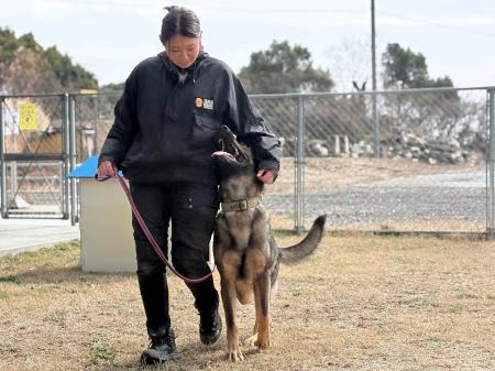 東日本大震災をきっかけに、災害救助犬ハンドラーの道