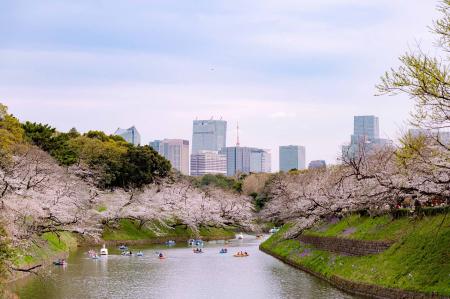 【東京ステーションホテル】ホテルから始まる桜体験
