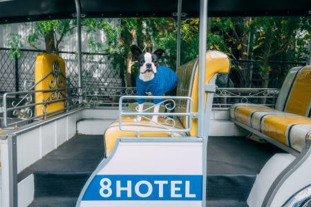 【開催レポート】8HOTEL CHIGASAKI、初のドッグモデル