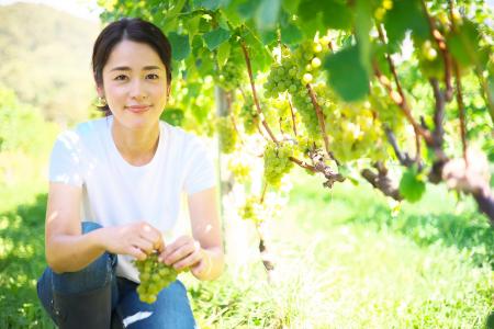 ワイン醸造で生じる「搾りかす」を資源へ。NIKI Hills