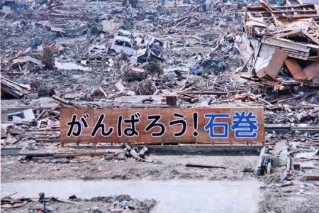 震災から15年。石巻「ど根性ひまわり」子孫15世の種を