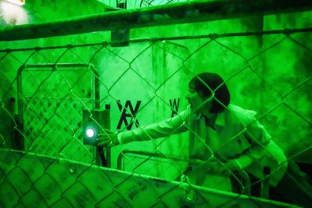 Nintendo Switch 2専用新作サバイバルパズルアクショ