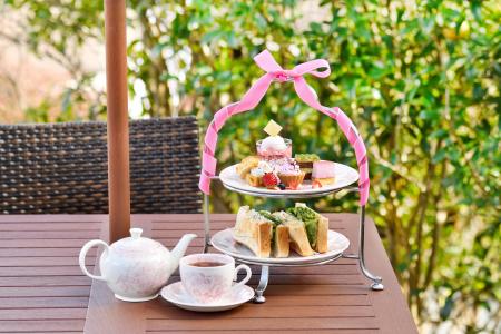 箱根強羅公園で春を満喫！