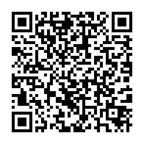 「地元に全力！」琉球ゴールデンキングスファンの声を