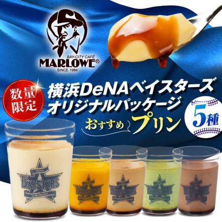 【横須賀市ふるさと納税限定】横浜DeNAベイスターズと