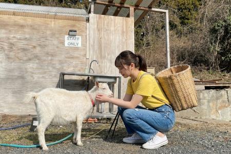 『学生限定プラン』がもたらした2月89%、3月9８%の稼