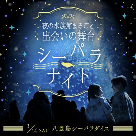 ナイトアクアリウムで1,000名が出会う「夜の水族館ま