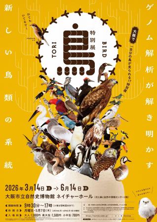 ことりすまいる、特別展「鳥」公式トリバサダーに就任