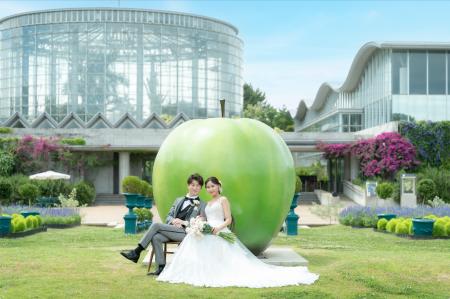 海と、緑と、新しい物語。稲毛海浜公園で叶える、アー