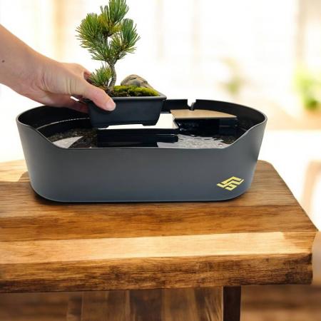 第100回国風盆栽展“親子入選”記念　Wabisabi.jp期間限