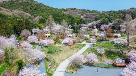 【茨城・土浦アウラテラス茨城】20％OFFセールやお花