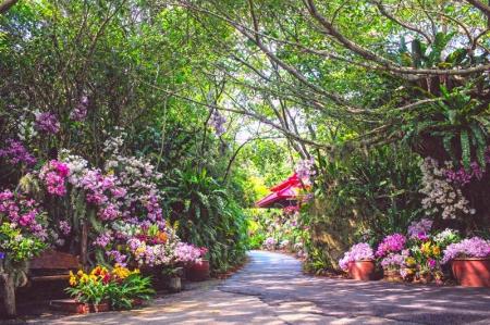 ビオスの丘 うりずんの花祭り 2026~うりずんの花道~ ビオスの丘 うりずんの花祭り 2026~うりずんの花道~