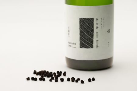 植物の葉を食べた昆虫の糞から生まれる神秘のお茶「虫 植物の葉を食べた昆虫の糞から生まれる神秘のお茶「虫