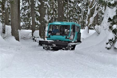 【妙高杉ノ原スキー場】この冬がもっと特別な思い出に