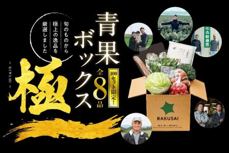 厳選野菜のプレミアムボックス RAKUSAI『青果ボックス 厳選野菜のプレミアムボックス RAKUSAI『青果ボックス