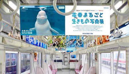 【株式会社横浜八景島】７つの水族館・動物園・遊園地