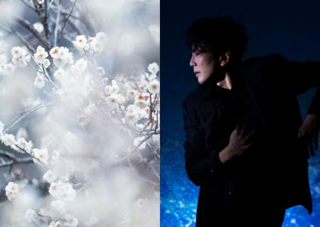 蜷川実花 with EiMが手がける「KYOTO NIPPON FESTIVAL