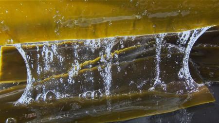 九州大学との共同研究で、ピュール独自のオリジナル原 九州大学との共同研究で、ピュール独自のオリジナル原