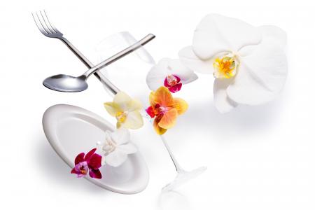 食べられる胡蝶蘭（エディブルオーキッド）の販売を開